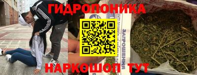 Альфа ПВП Ростов Великий