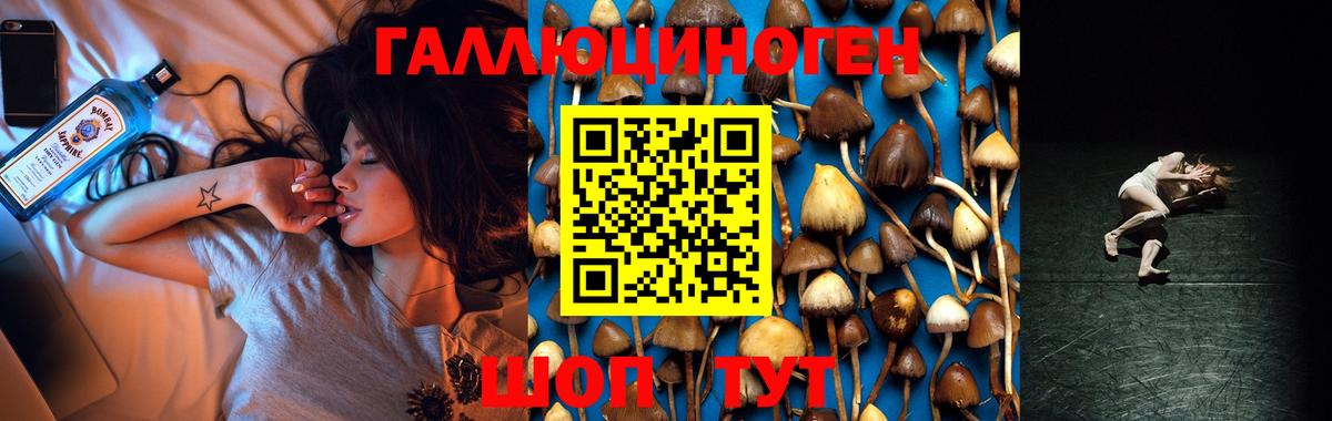 Псилоцибиновые грибы GOLDEN TEACHER Гагарин